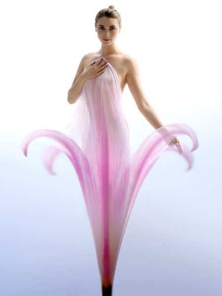Photograph Ethan T Allen Amaryllis on One Eyeland